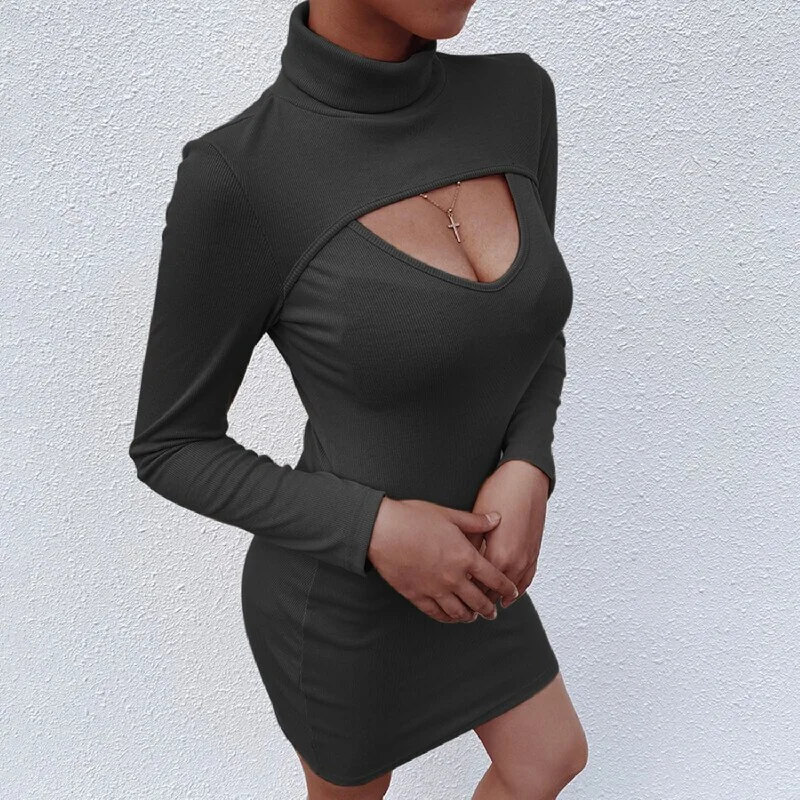 Price Slash Women's Spring/Autumn Knitted High Neck Mini Dress